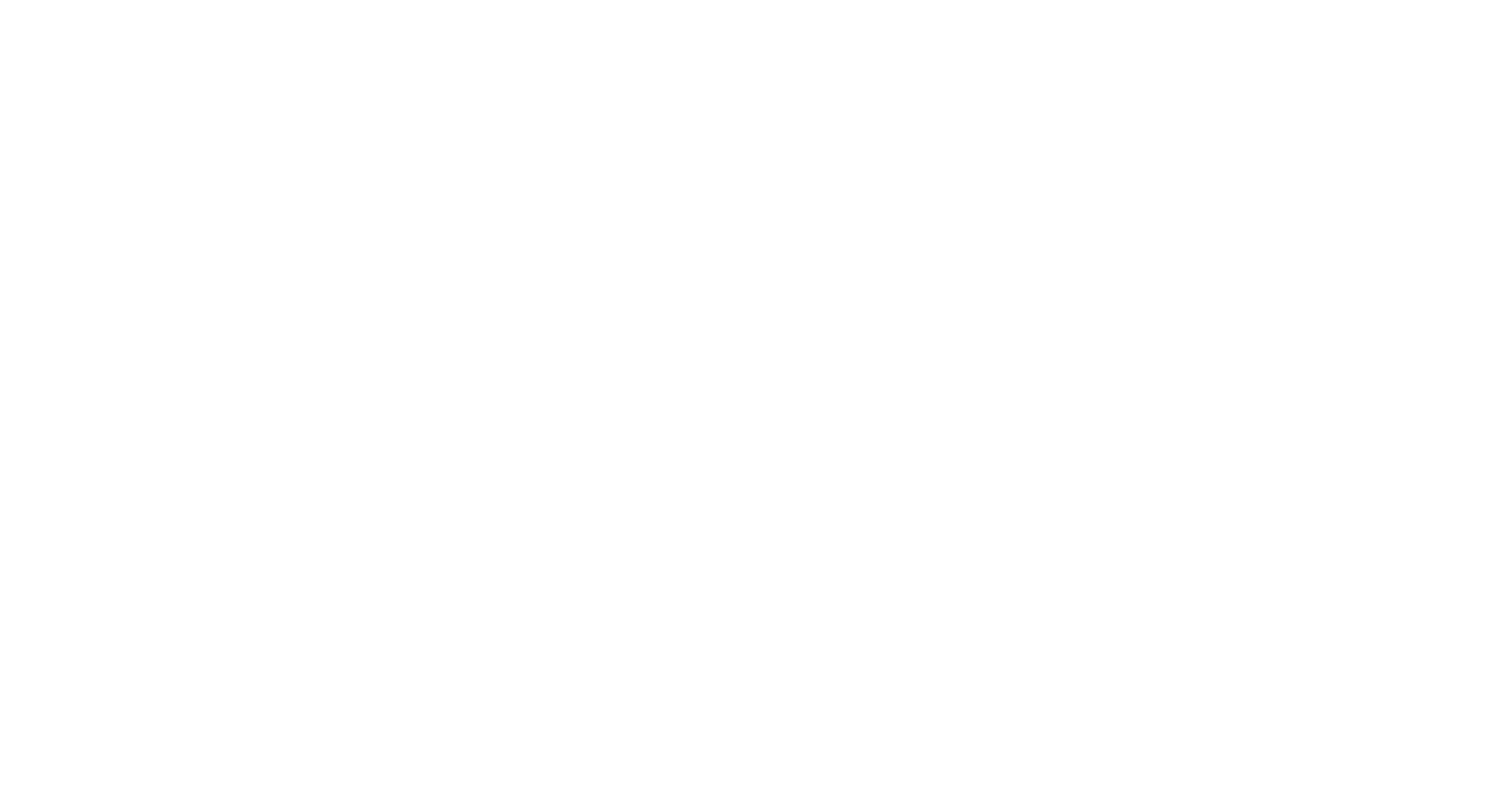 Logo promantis GmbH weiß mit claim