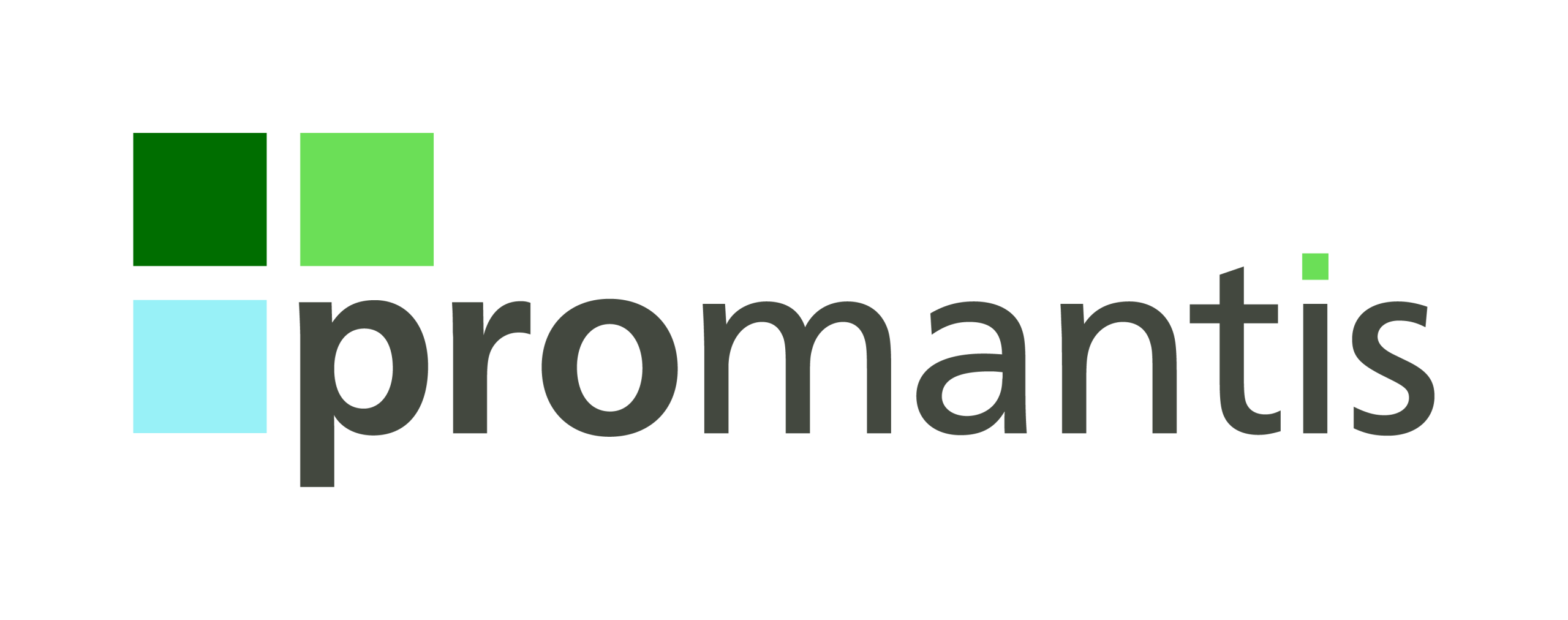 Logo promantis GmbH